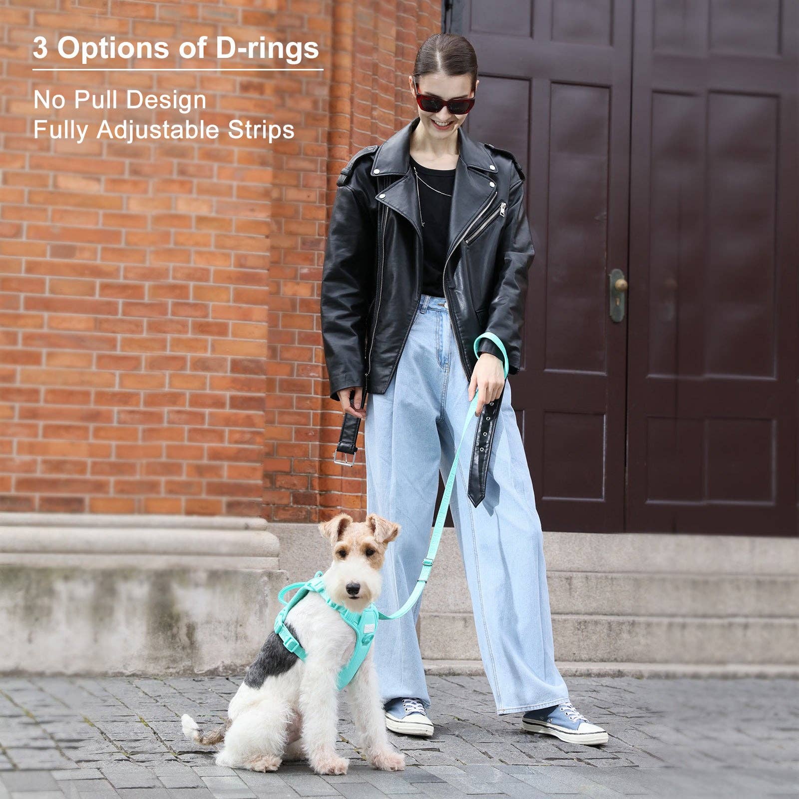 PEHOM - Wholesale Tuig voor huisdieren - Hond - PEHOM Geen-trek hondenharnas – mintgroen en paars12