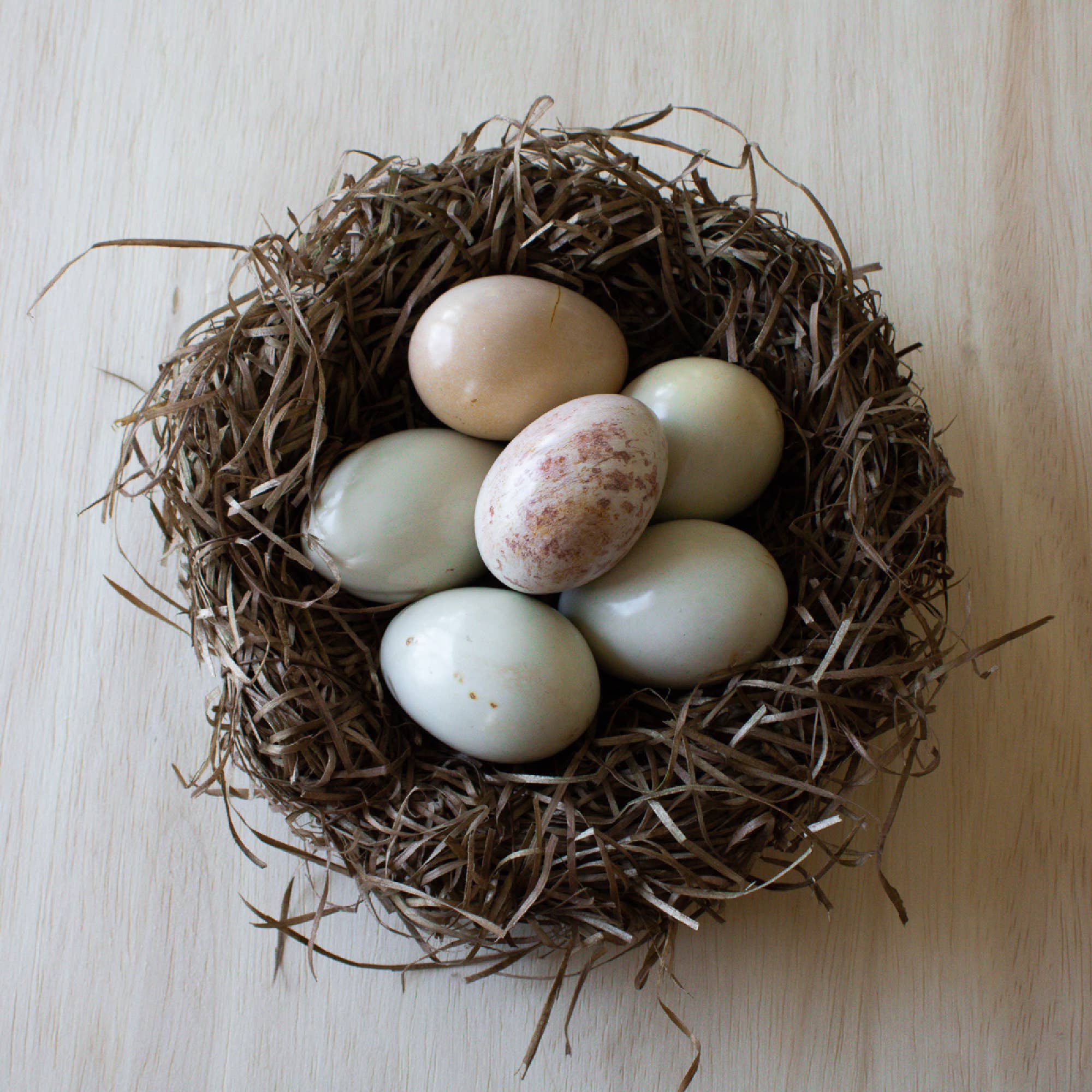 Venture Imports LLC - Wholesale Decorative Tabletop Object - Natural Eggs1