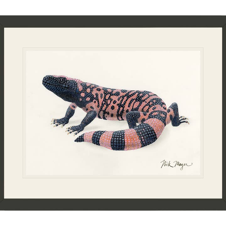 Impression Édition Limitée Monstre de Gila pour la vente par Nick Mayer Art