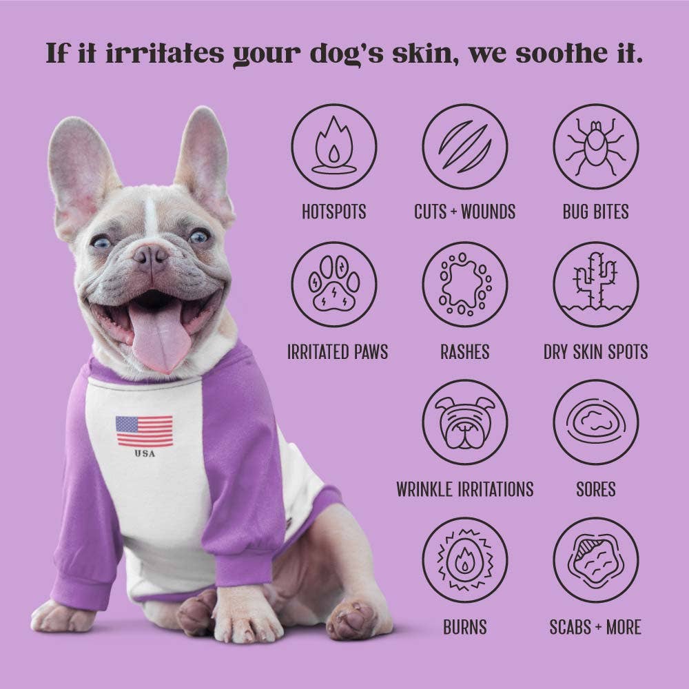 Lavengel - Wholesale Pet Balm - Dog - Lavengel - Super Soothing Skin + Wound Care Salve for Dogs2