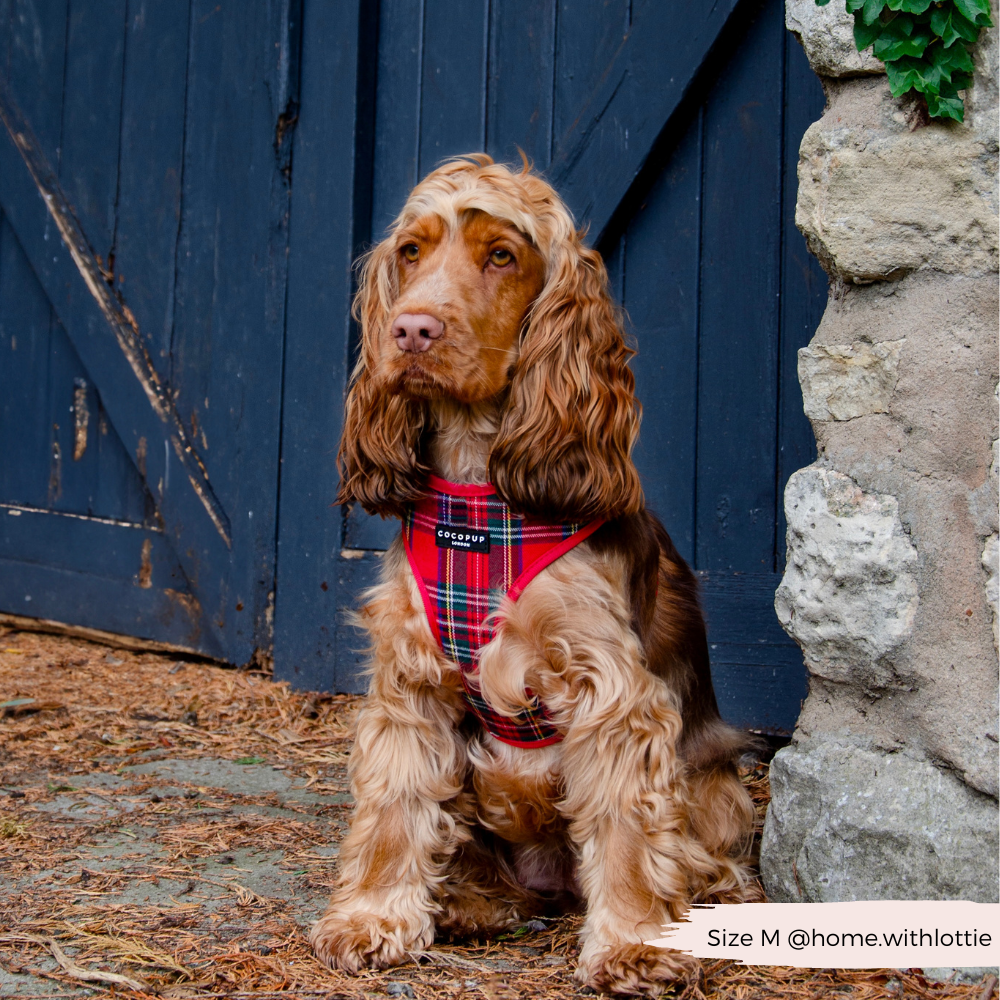 Cocopup London - Wholesale Tuig voor huisdieren - Hond - Tartan Verstelbaar NekHARNAS21