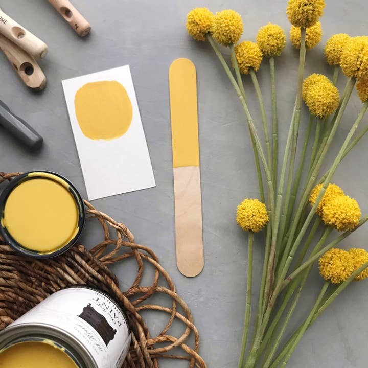 Amy Howard at Home – wholesale Paint set – One Step Paint - Holey Moley