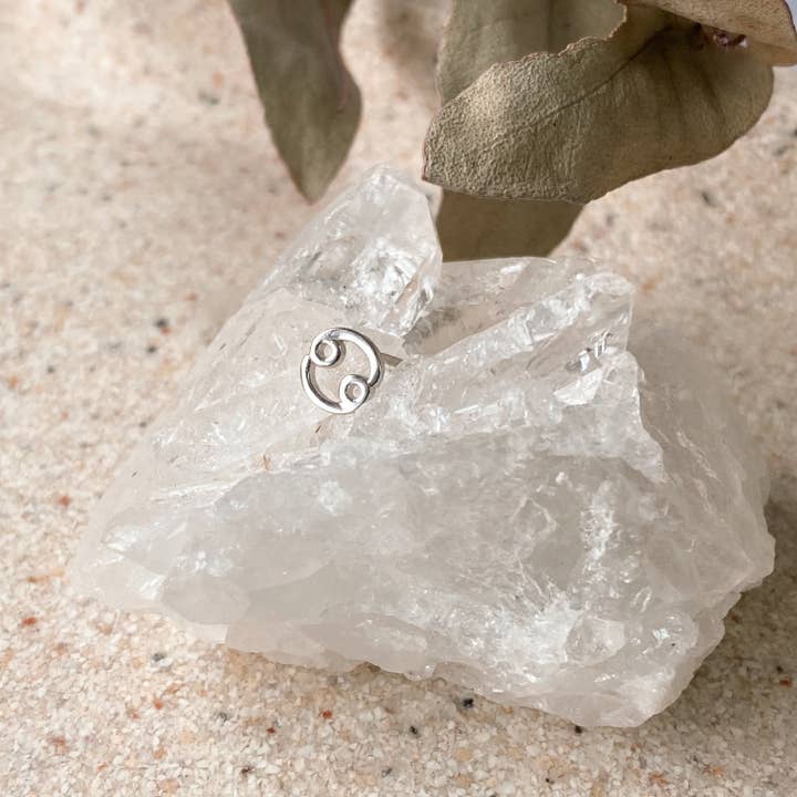 Horace Jewelry – wholesale Solitärörhängen – Astra stjärntecken Sterling Silver Stud örhängen