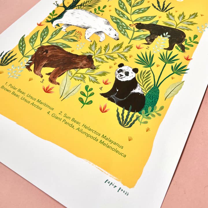 Papio Press - Wholesale Art Print - Bears Natural History Print Artists Print Wall Art2