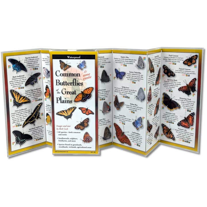 Common Butterflies of the Great Plains FoldingGuide™ for wholesale by Earth Sky + Water