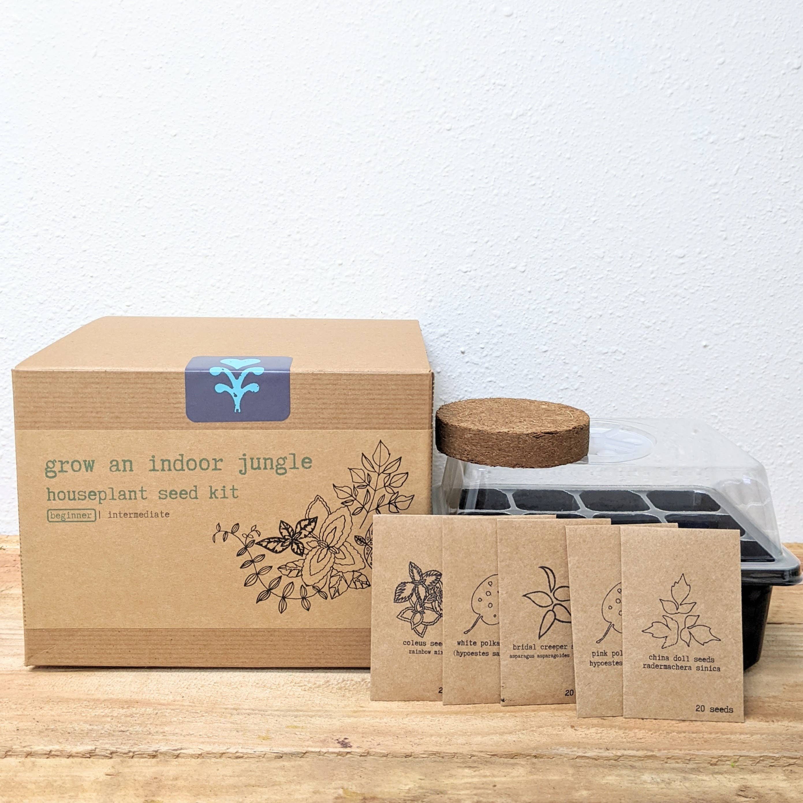 Plantflix - Vente Graines de plantes - Kit de graines pour plantes d'intérieur « Grow an Indoor Jungle »0