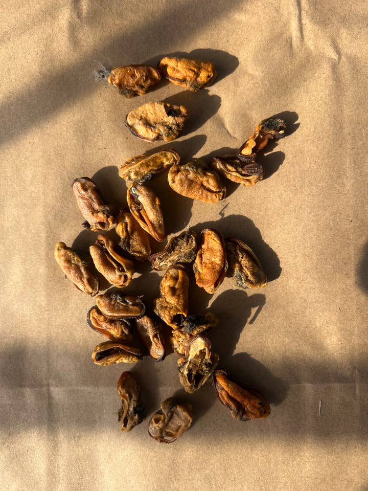 Mussels for wholesale by What the raw