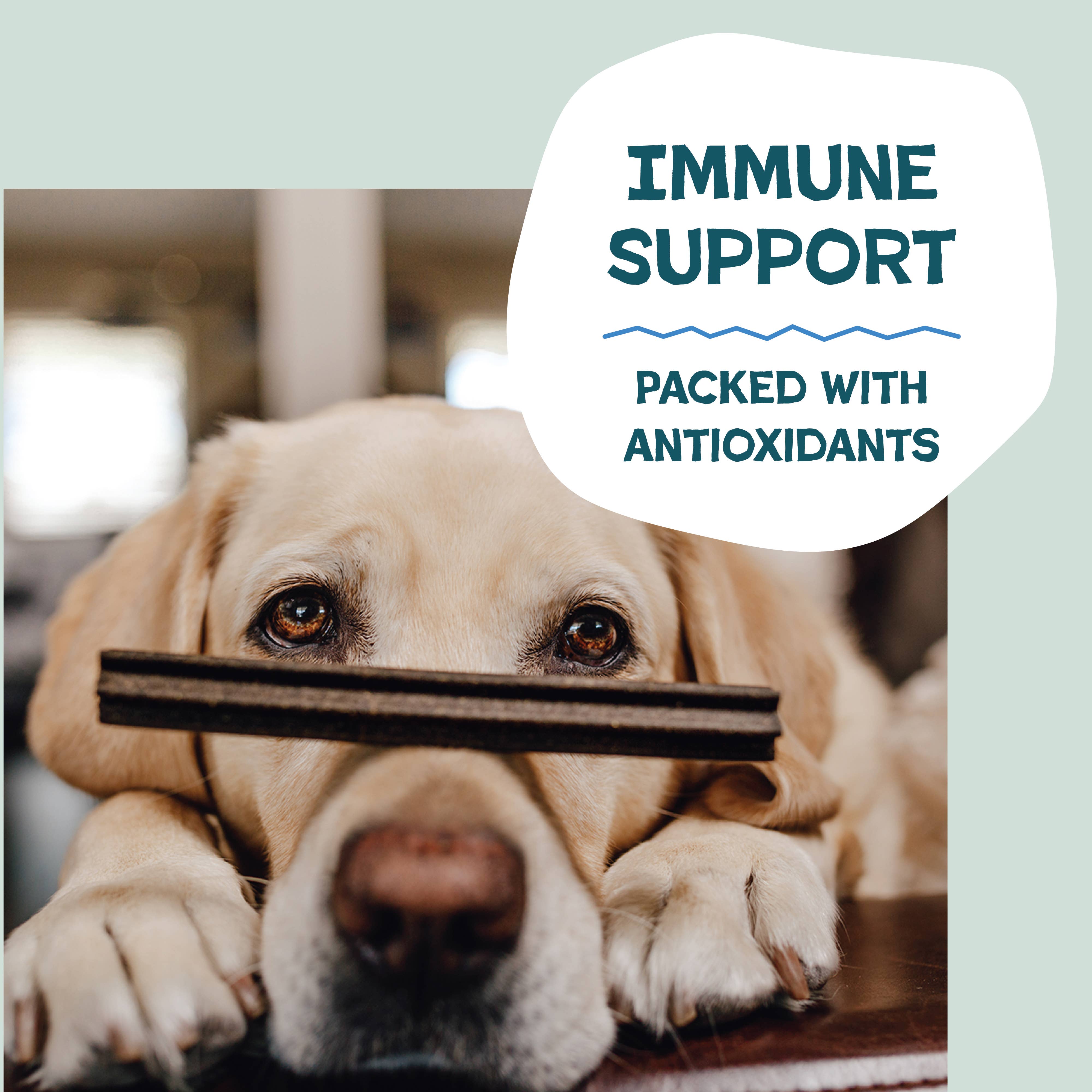 Shameless Pets - Vente Friandises – chien - Gâteries pour chiens The Tooth Berry Dental Sticks4