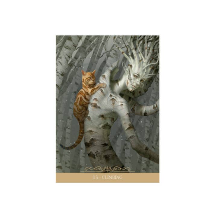 Cardshouse – Engroshandel Tarotkort – Barbieri Fantasy Cats Oracle Cards fra Lo Scarabeo4
