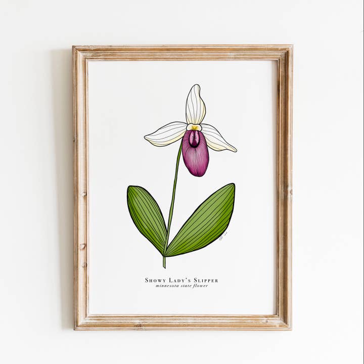 Minnesota State Flower Print | Minnesota Showy Lady Slipper for wholesale by Erika Layne Art