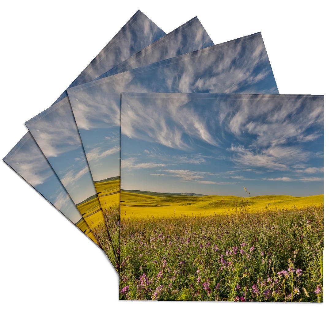 3dRose - Wholesale Coasters - 3dRose, Washington State, Palouse. Landscape of vetch and Canola fields., Coaster0