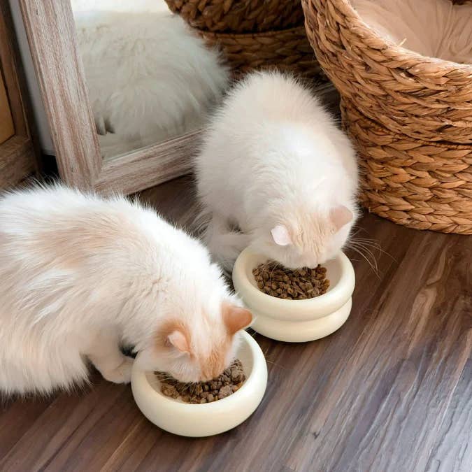 Catenary Home - Wholesale Pet Bowl - Cat/Dog - Elevated Halo Pet Bowl