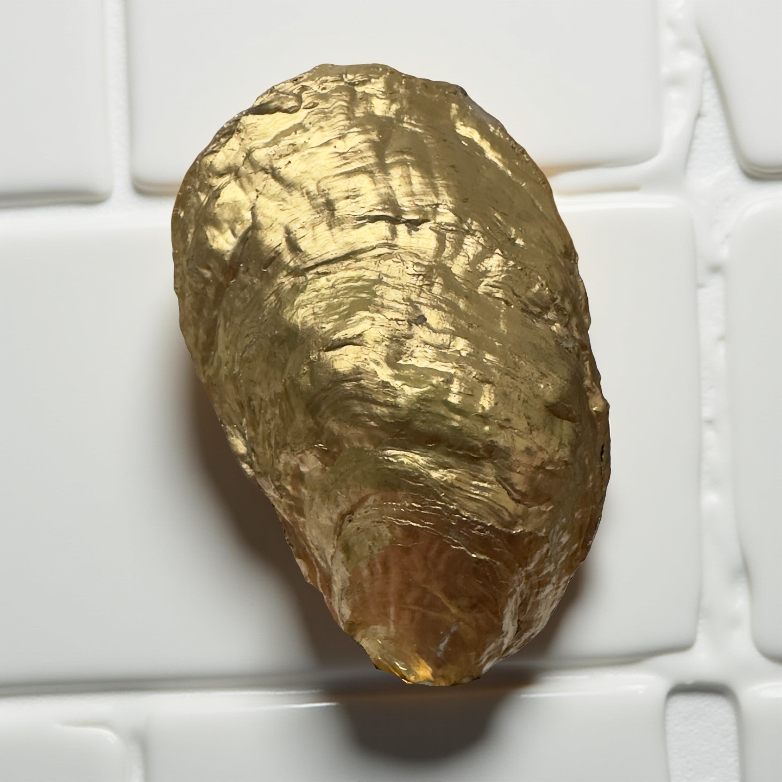 Shell Yeah By Jaks LLC - Wholesale Jewellery dish - Golden Coast Oyster Shell Jewelry Tray – Gold Rim5