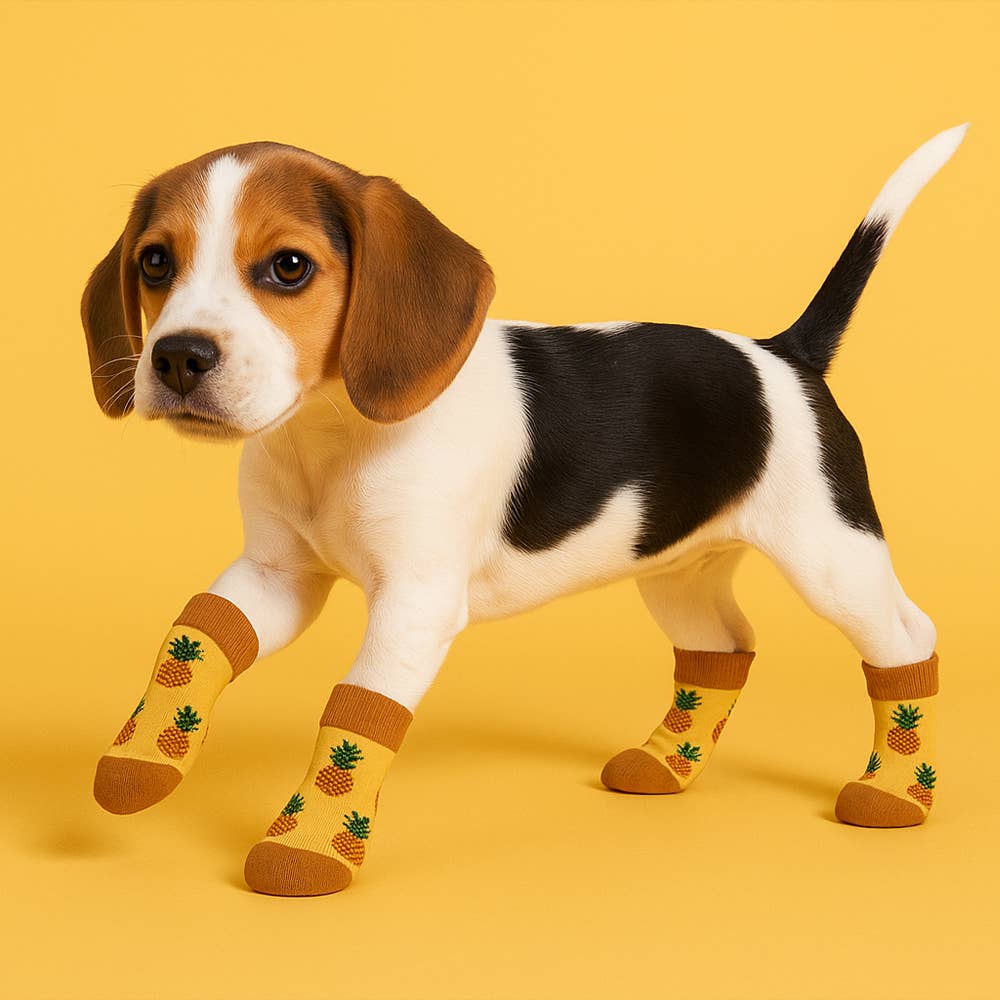 The American Gift Company (TAGCO) - Wholesale Pet Socks - Dog - Matching Pet And Owner Fun Socks14