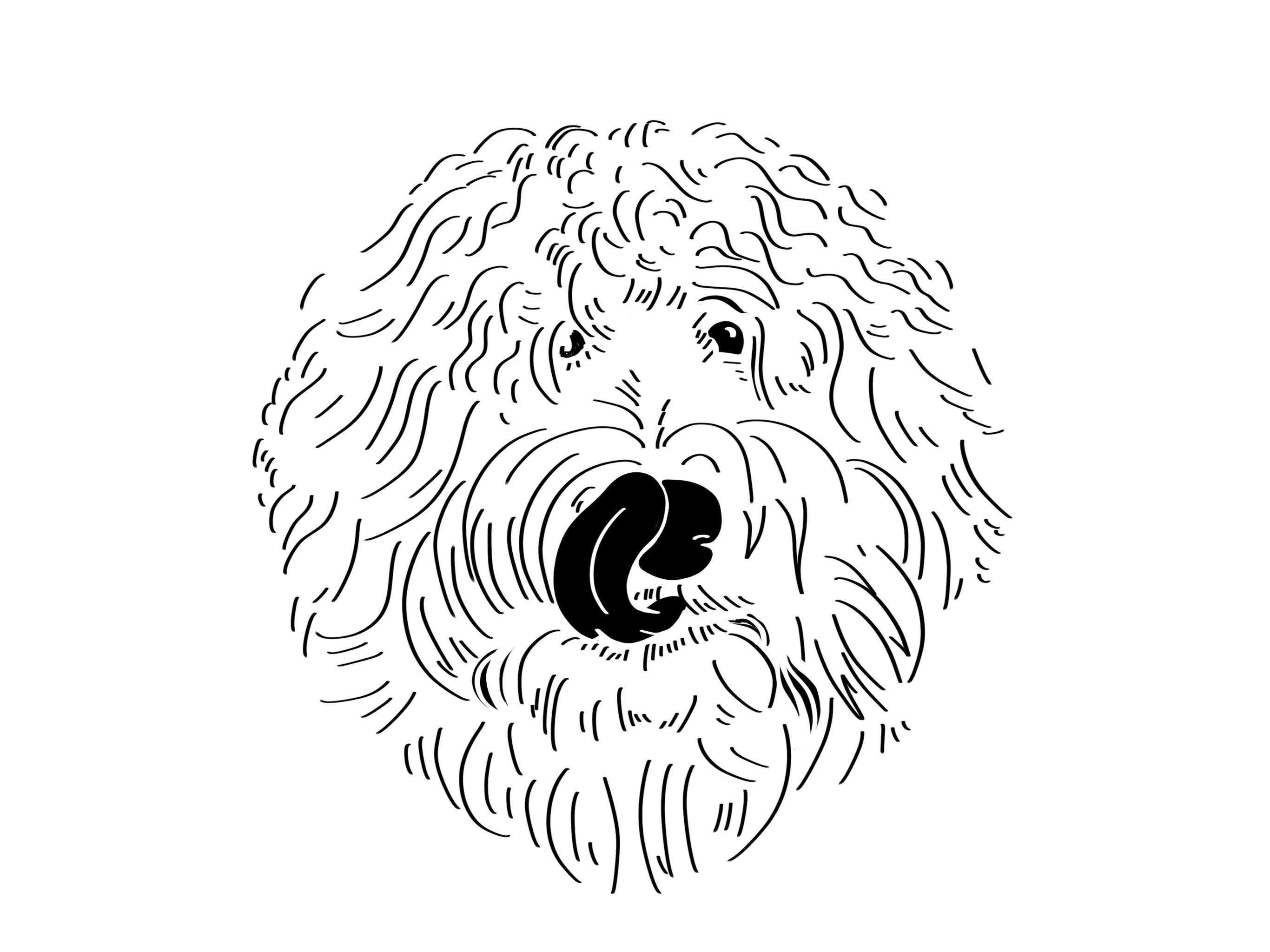 Love & Lion - Venta al por mayor Urna/caja de recuerdos para mascotas - Retrato personalizado de mascota6