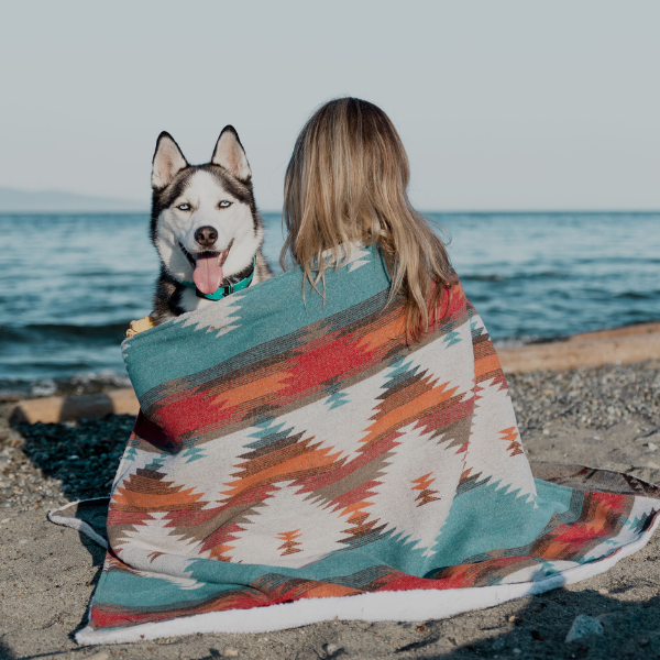 Dog blankets hot sale in bulk