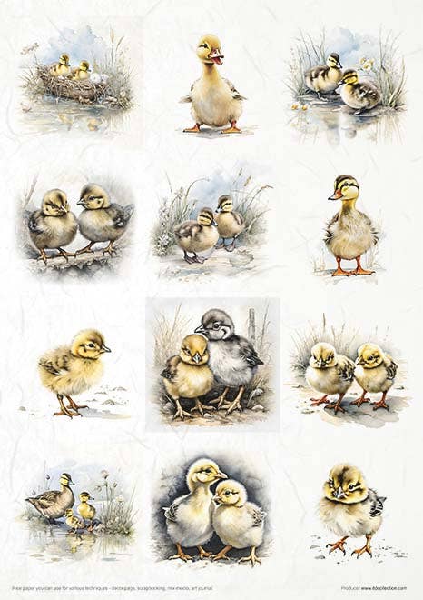 ITD Collection - Vente Matériels de bricolage - RP068 - Set créatif de papier de riz - 11 feuilles format A4 (21 x 29,7 cm)10