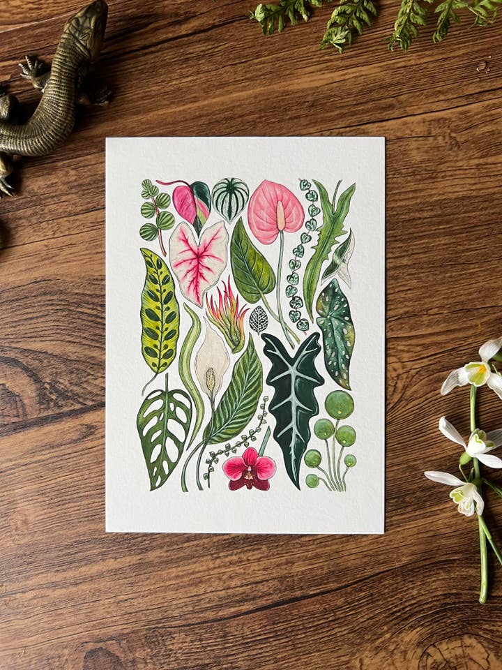 House Plants, Fine Art Print for wholesale by Tansy Moore