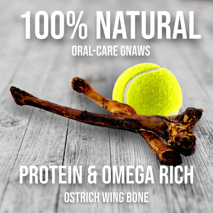 Savannah Pet Food - Wholesale Pet Treats - Dog - Ostrich Wing Bone
