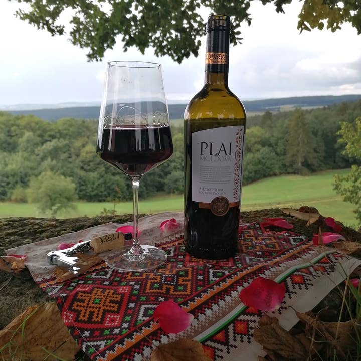 DEKA-Trade – Vinho tinto por atacado – PLAI Merlot Syrah Dry Tinto 0.75l Reserva 2017