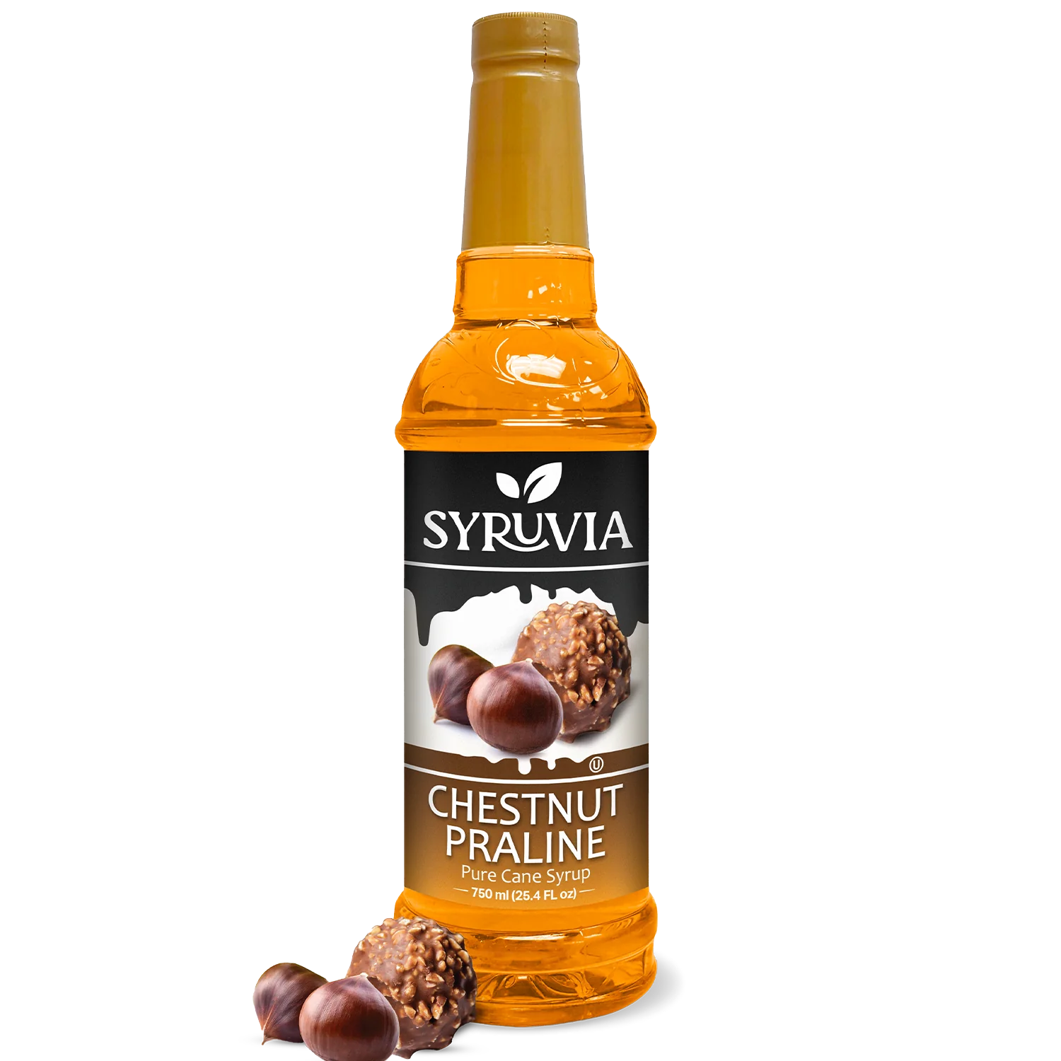 Syruvia - Wholesale Flavored Syrup - Chestnut Praline Syrup0