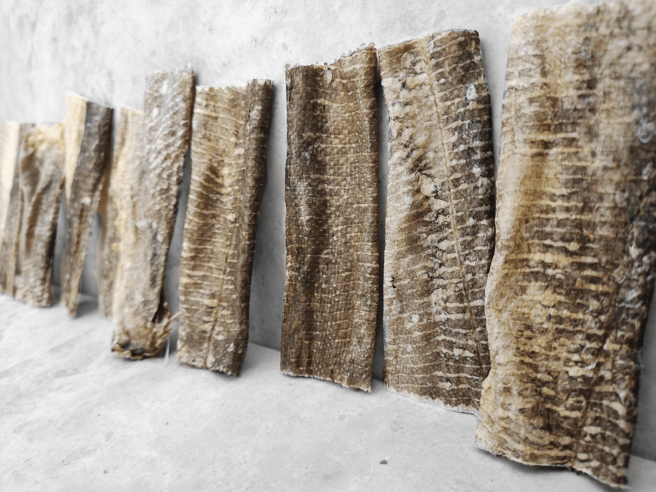 Goodchap's – wholesale Pet treats – Dog – Whitefish Jerky Value Pack | Healthy Dog Chews | Eco Treats3