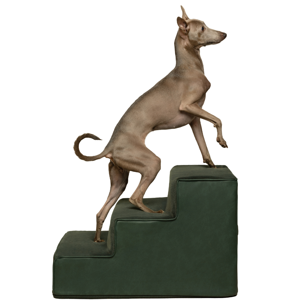 NOAH AND PAW LLC – wholesale Trappsteg och ramper - Katt och hund – Lyxiga hundtrappor för säng, konstläderkollektion, mörkgrön2