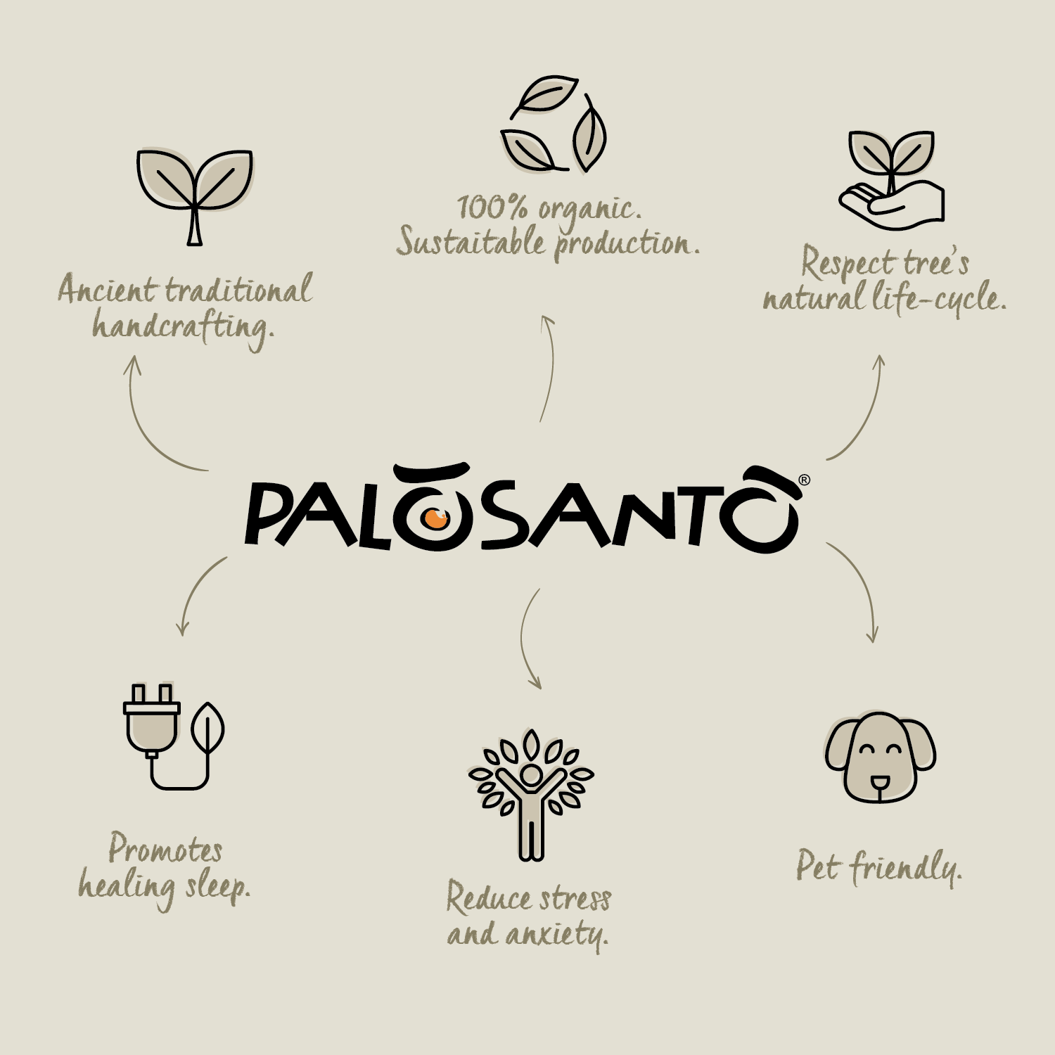 Herborea srl - Wholesale Essential Oil - Palo Santo Fruit Essential Oil - 5 ml (0,169 fl. oz)7