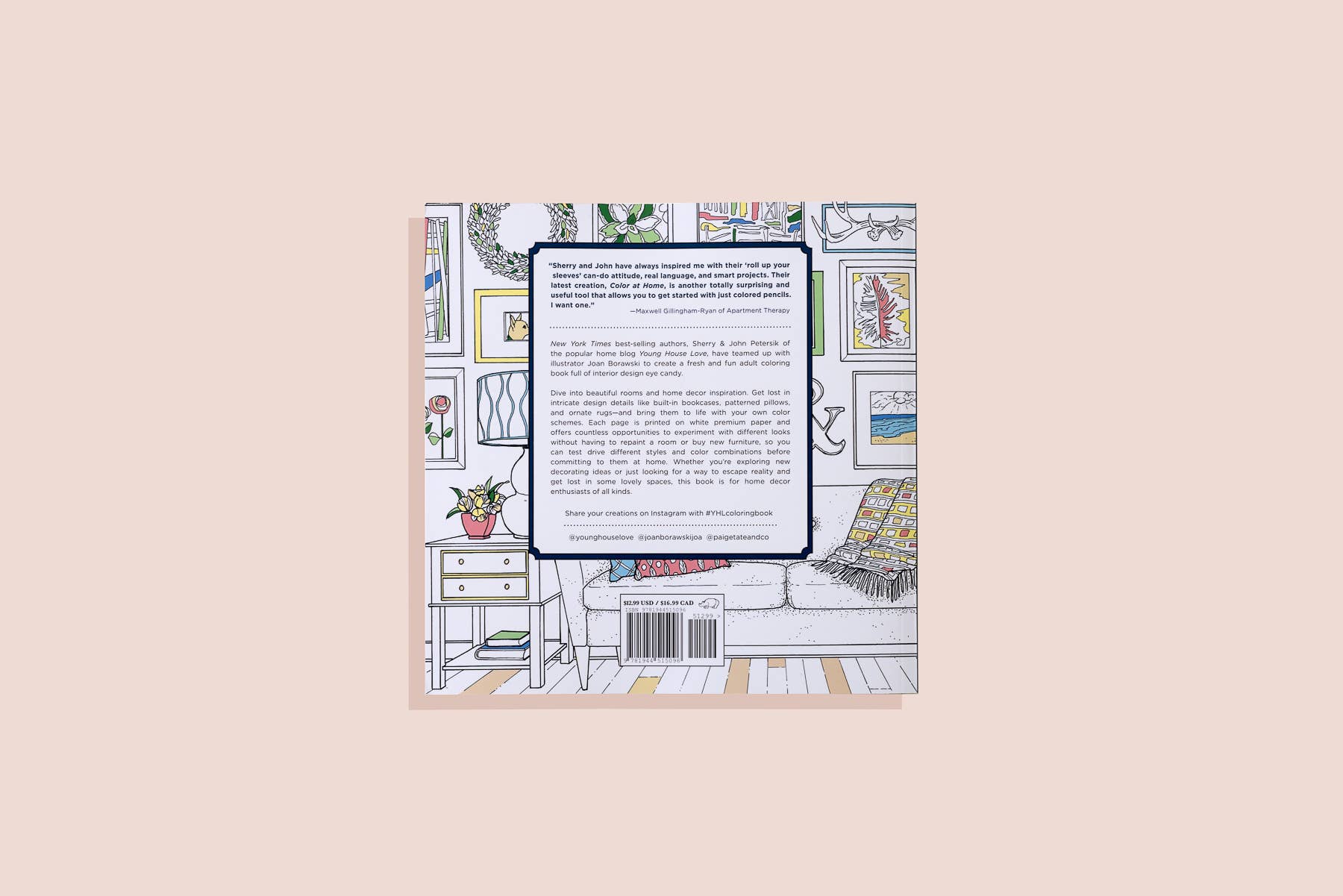 Paige Tate & Co. – wholesale Colouring and activity book – adult – Color At Home- A Young House Love Adult Coloring Book4