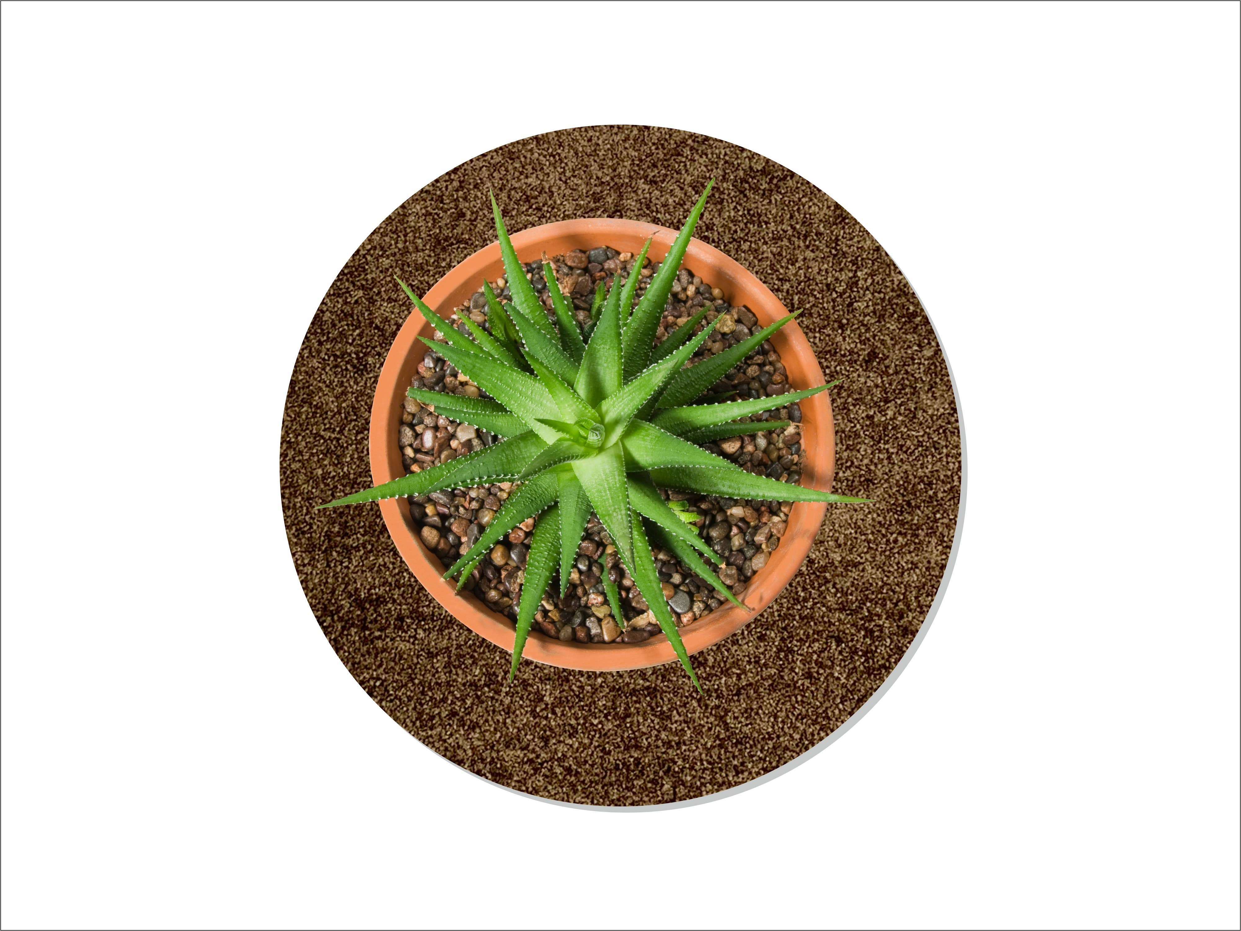 Keilbach Designprodukte - Wholesale Plant Pot - Flora9