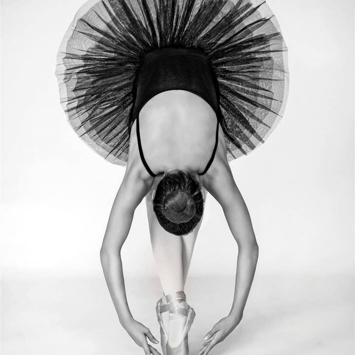 Technique de ballet WDC96586 pour la vente par The Art Group