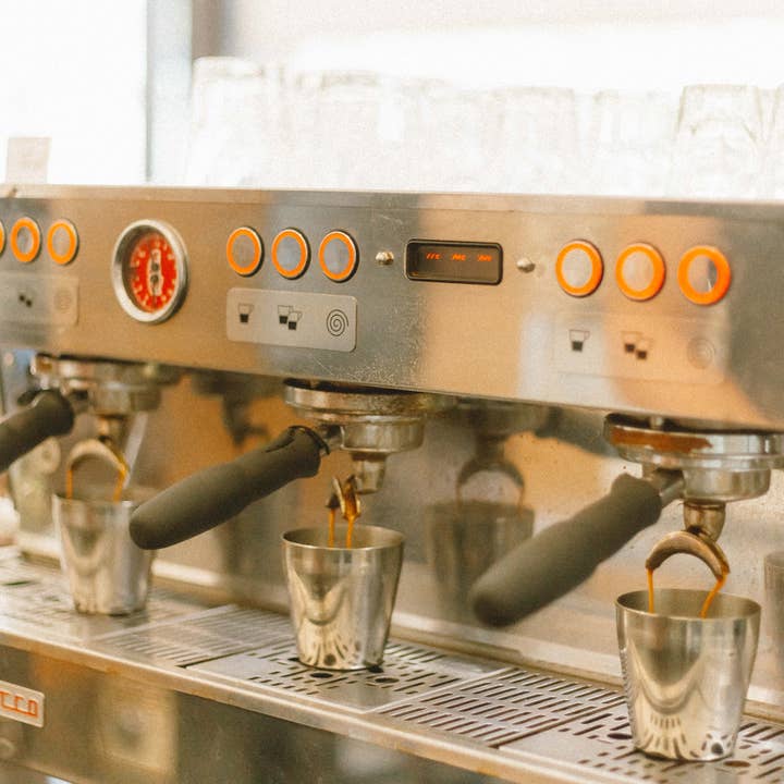 Go Get Em Tiger - Wholesale Coffee Beans - Ludwin Murcia, Honduras - Filter Roast2