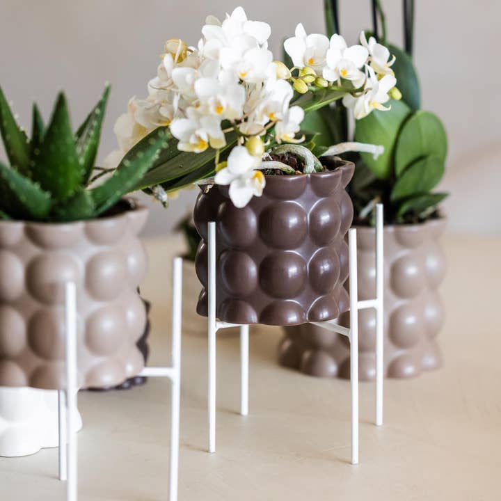 Oasis of Life - Wholesale Plant Pot Stand - White Metal Plant Stand Ø12cm – Modern Metal Flower Pot Stand – Decorative Plant Holder for Indoor Plants – Stable, Stylish & Versatile – Height 18.5cm2