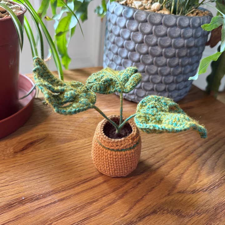 Plan vert avec pot en crochet pour la vente par Miss Peachy