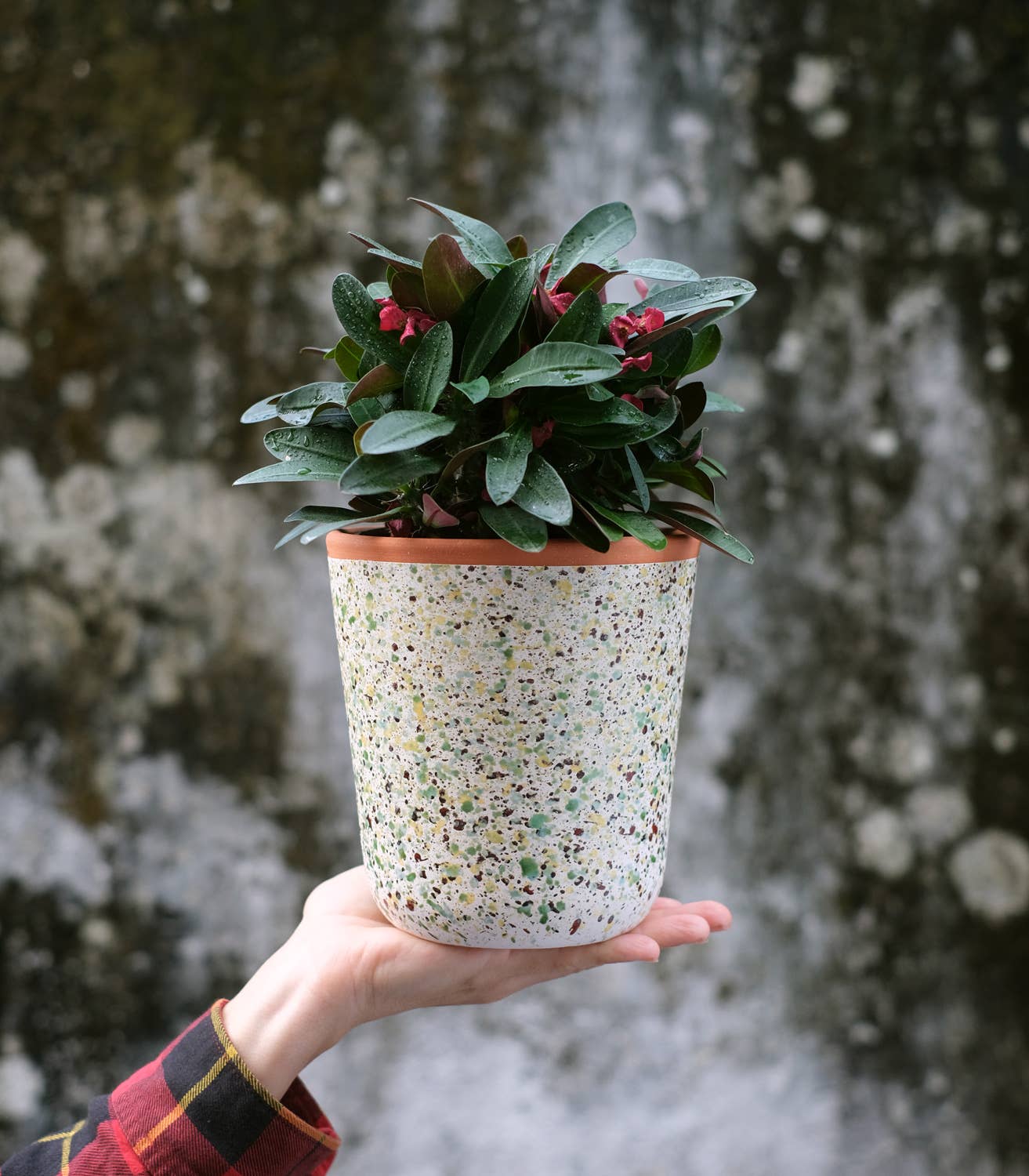 Casa Atlântica - Wholesale Plant Pot - Speckled clay pot on terracotta base2