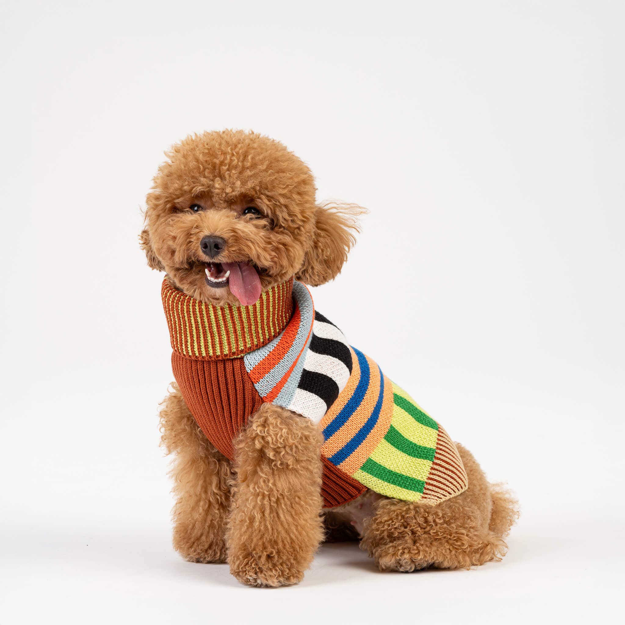 VERLOOP | knits - Wholesale Pet Sweater - Dog - Patchwork Stripe Dog Sweater16