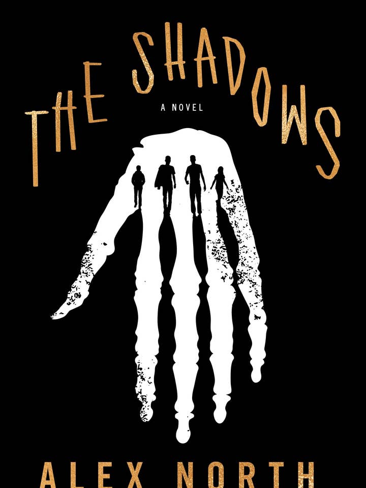 The Shadows: A Novel #1 for wholesale by Macmillan Publishers