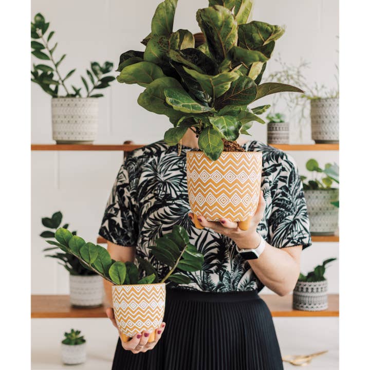 Danica Outlet Store - Wholesale Plant Pot - Heirloom Saffron Spark Plant Pot Medium 4.5 inch1