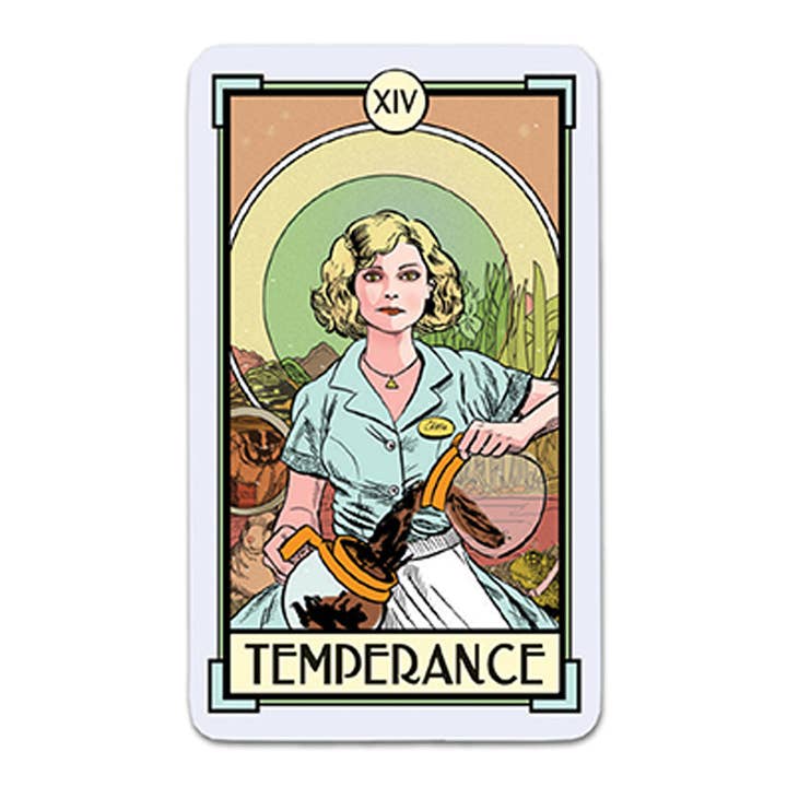 Insight Editions - #1 Pop Culture Publisher - Wholesale Tarot Cards - Christina Ricci's Cat Full of Spiders Tarot Deck and Guidebook3