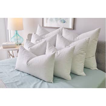 Whole Feather Decorative Pillow