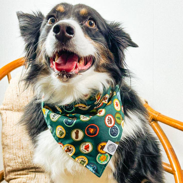 Wholesale Maverick Dog Bandana  Scout Badge Camp Adventure Pet Scarf for  your store - Faire