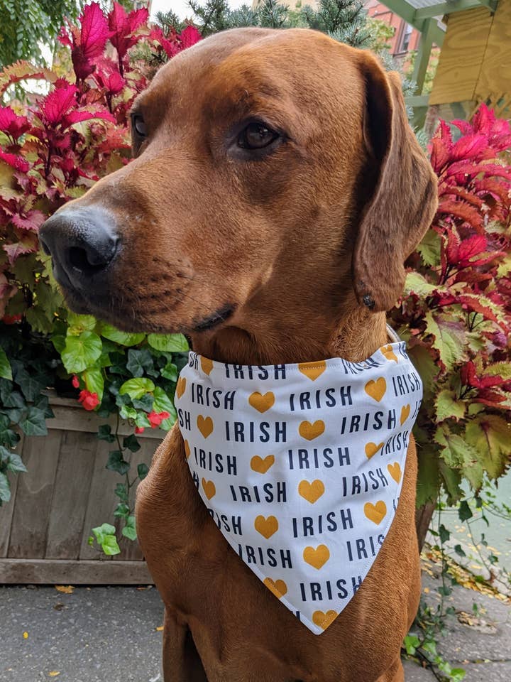 Älskar irländsk bandana - College Collection för wholesale av Koa's Ruff Life
