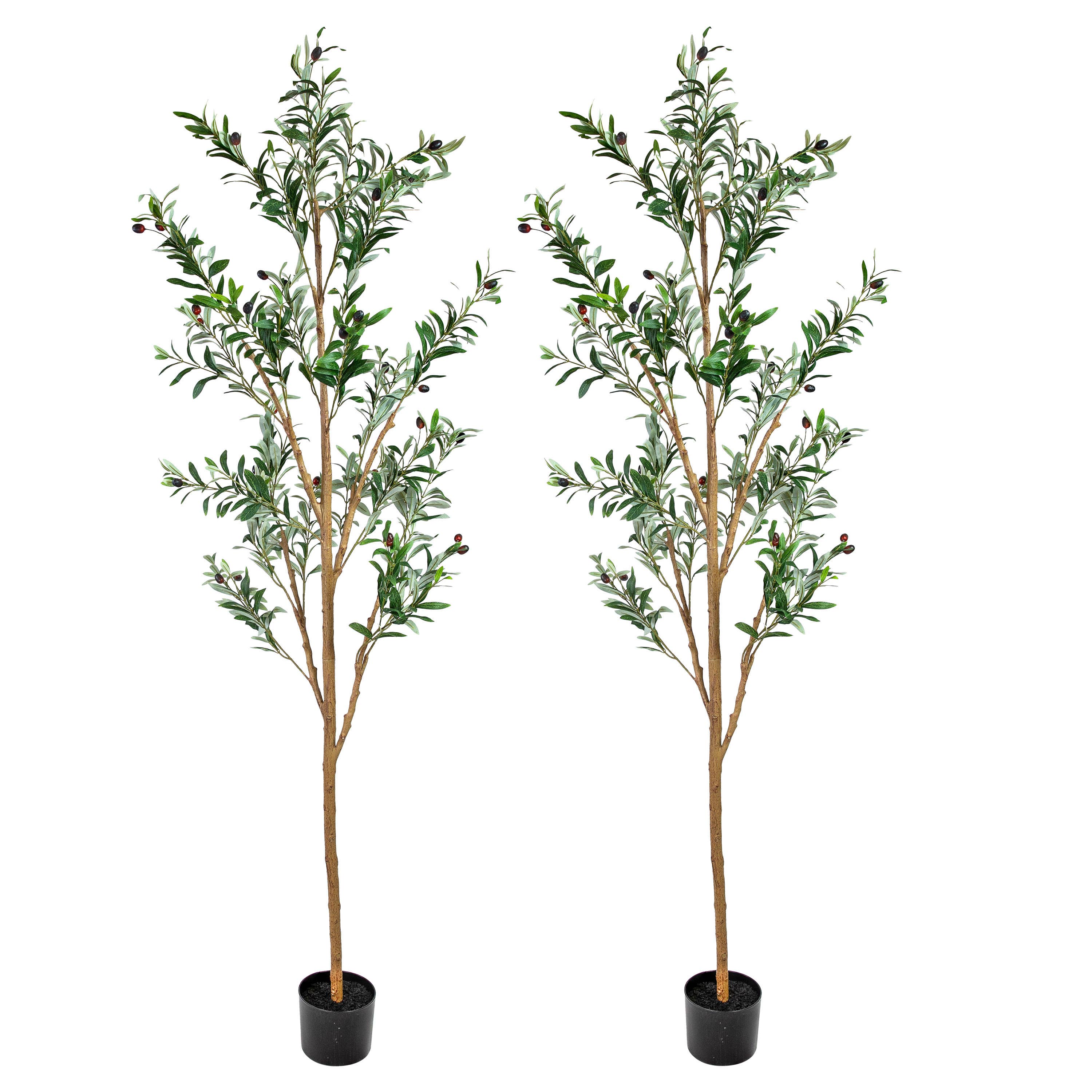 HomeRoots - Wholesale Artificial plant - Set of Two 72" Green Artificial Olive Trees in a Black Pots0