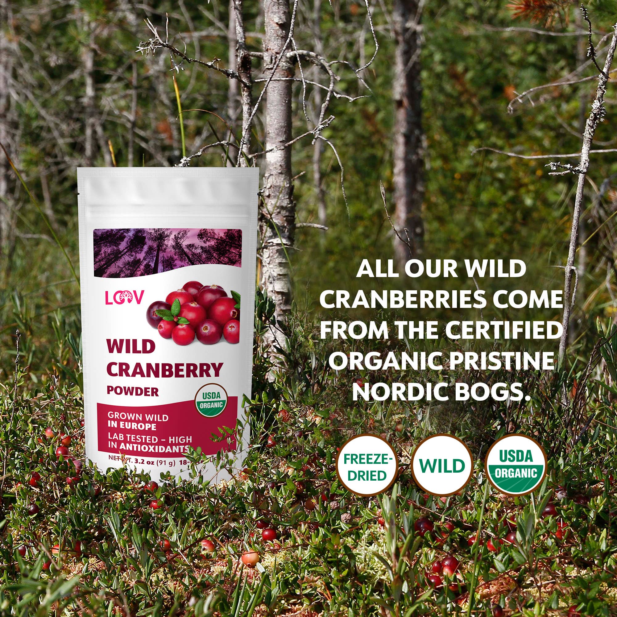 LOOV Organic Superfoods - Wholesale Protein/Superfood Powder - Freeze-Dried Organic Wild Cranberry Powder 3.2 oz3