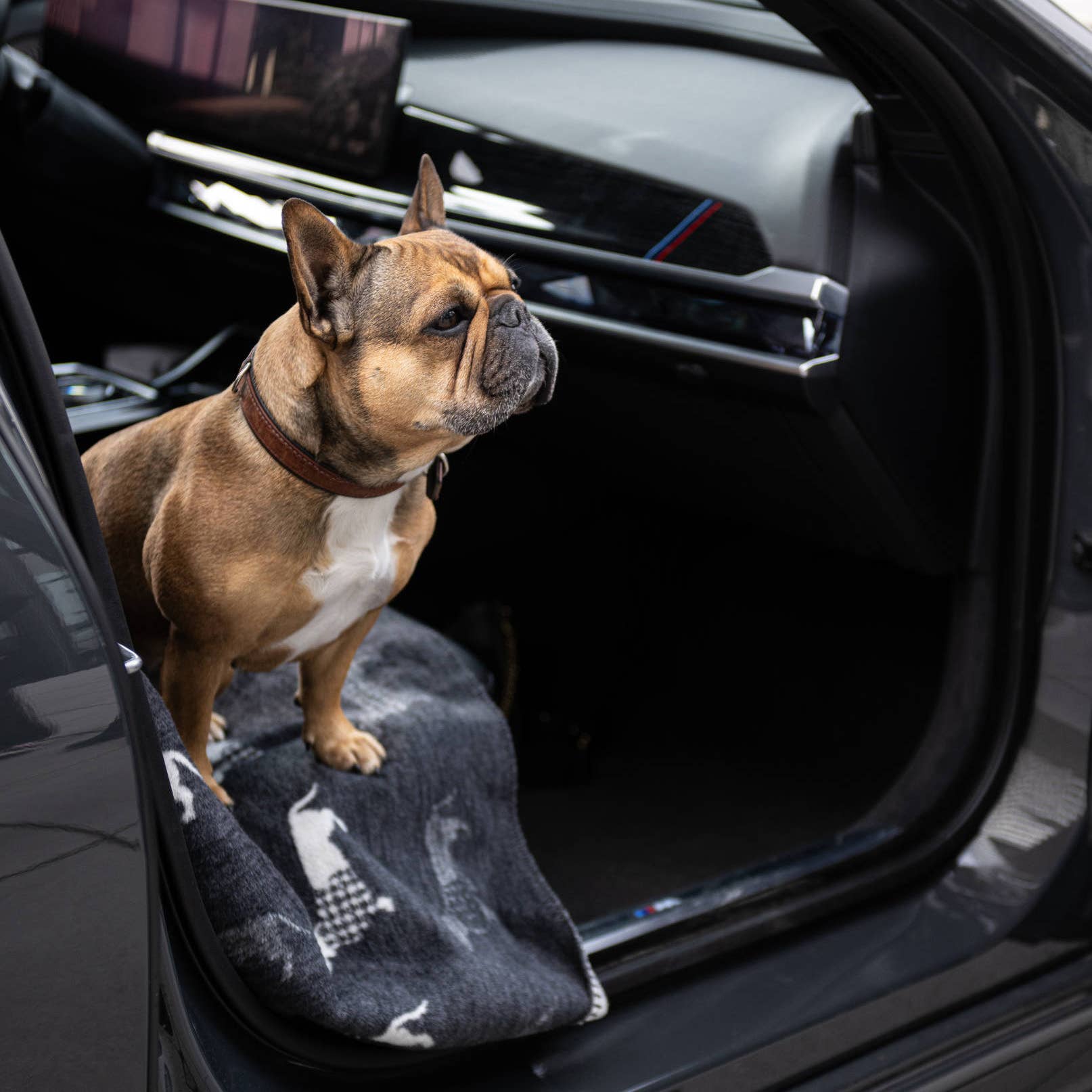 LABONI - Volentis GmbH - Venta al por mayor Edredón - Gatos y perros - TECKEL - MANTA DACHSHUND9