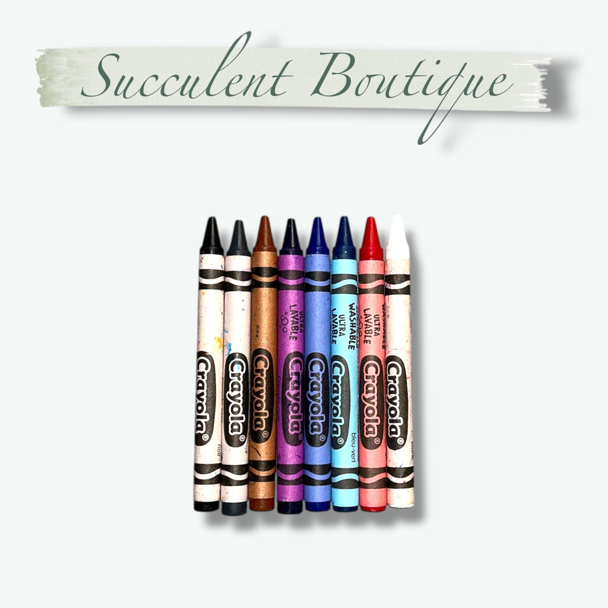 Succulent Boutique - Wholesale Crayons - Kids & Baby - Ruby’s Snow Globe Coloring Card With Crayons2