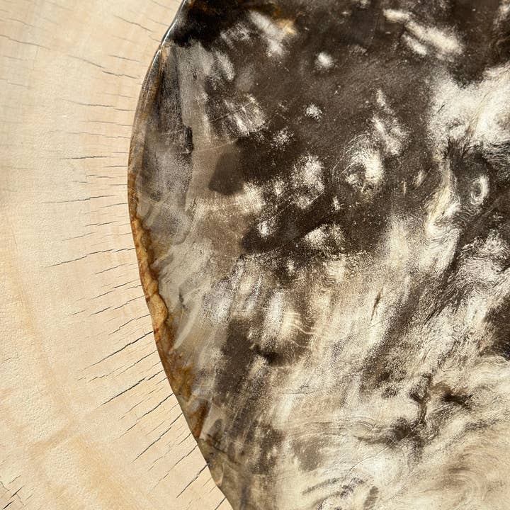 Office Objets - Wholesale Decorative Plate/Dish/Bowl - Very large catchall or dish in petrified wood42