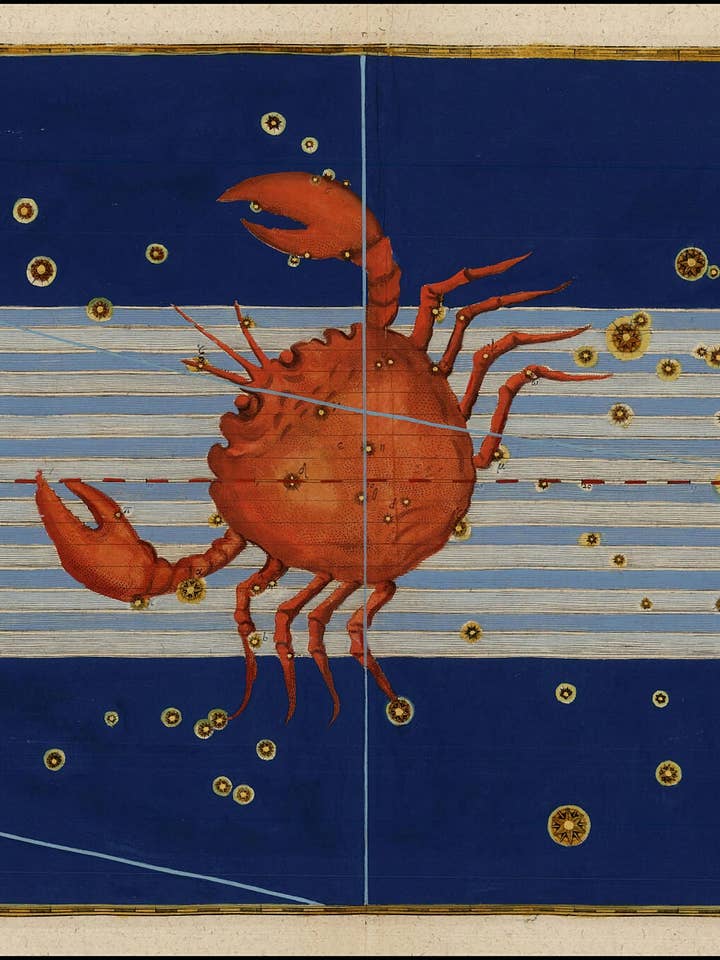 Johann Bayer 'Cancer' Augsburg, Tyskland 1603 för wholesale av Flashback Shop