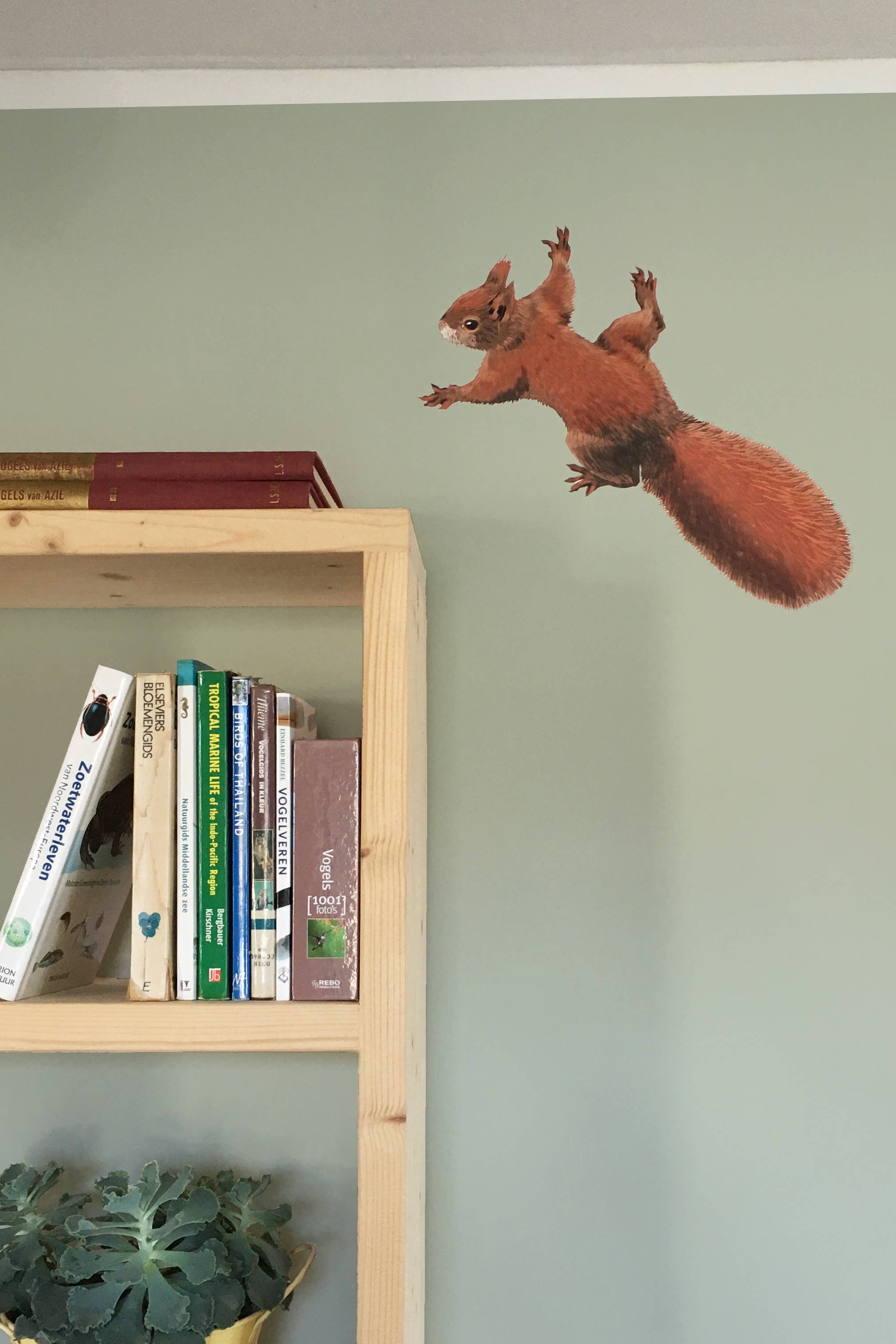 MYRTE - Wholesale Wall Decal/Stickers - Squirrel Illustration Wall Decal Wall Stickers6