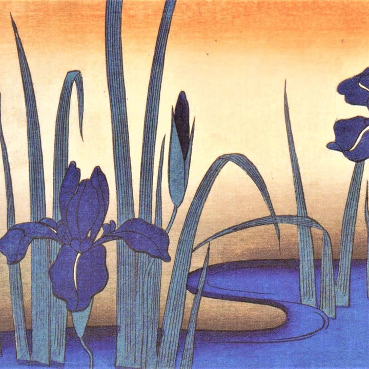 CATCH 12X12 CARTES DOUBLES NC 8949 pour la vente par Phenicia